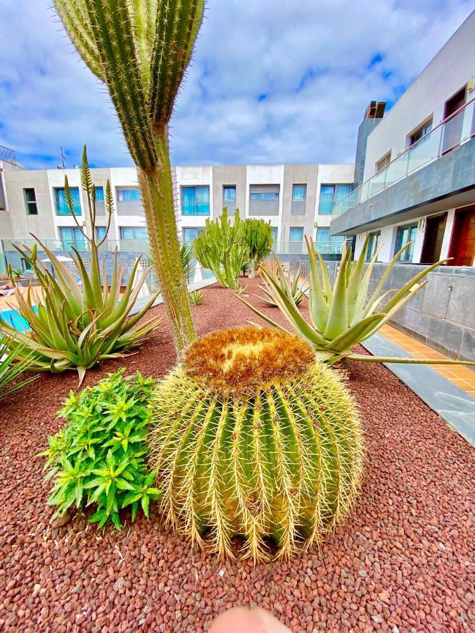 Mar De Fuerteventura 2 Διαμέρισμα Κοραλέχο Εξωτερικό φωτογραφία